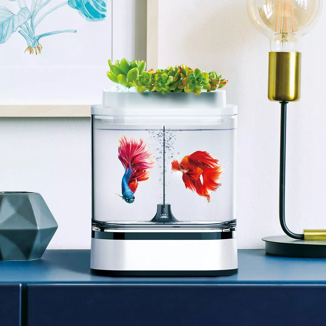 Xiaomi fish. Xiaomi c300 Акваферма. Акваферма Xiaomi Geometry Mini Lazy Fish Tank Pro c300. Акваферма Xiaomi Geometry Mini Lazy Fish Tank. Mini Lazy Fish Tank c300 Mini Pro.