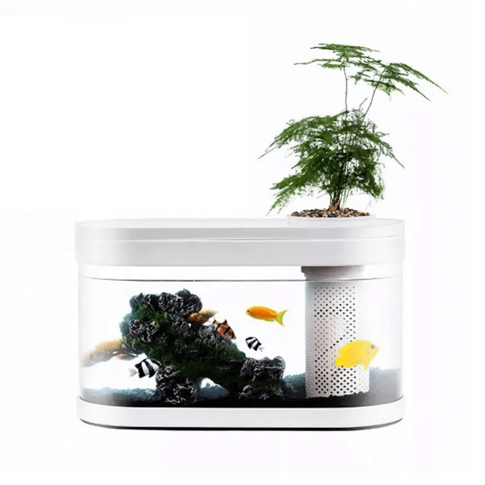 Mijia smart fish. Аквариум Xiaomi Geometry Fish Tank Aquaponics ecosystem (HF-jhyg001). Аквариум Xiaomi Yuanhao Eco Fish Tank HF-jhyg001. Аквариум Eco Fish Tank HF-jhyg001. Аквариум Xiaomi geometrc Lazy Fish Tank (HF-jhyg005)