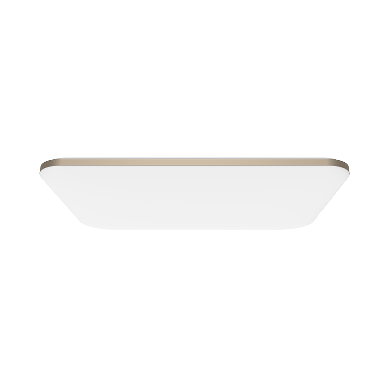 Ylxd49yl top