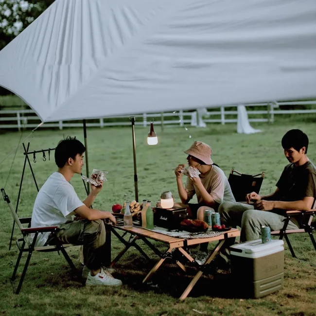 Лампа противомоскитная Nextool Mosquito Repelling Camp Lamp (NE20193), 3600мАч